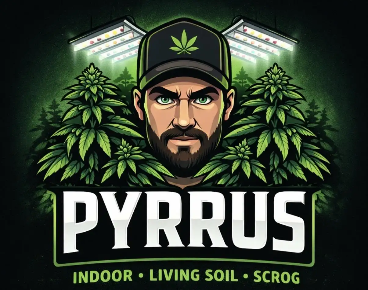 Pyrrus_