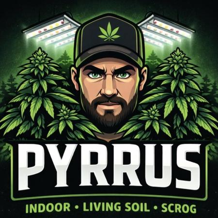 Pyrrus_