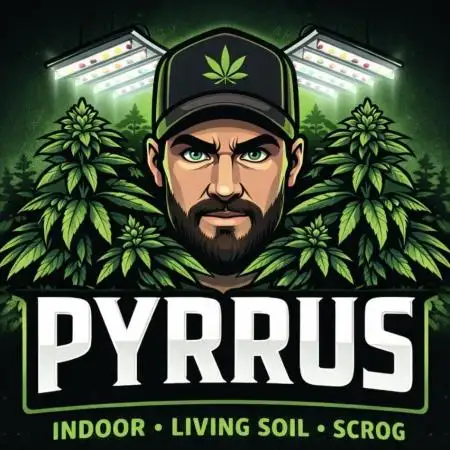 Pyrrus_