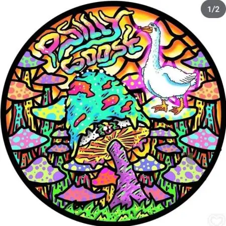shiva__psilly_goose