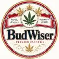 Bud_Wiser
