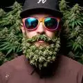 bearded_budz