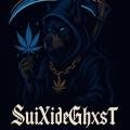 SuiXideGhXsT