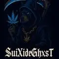 SuiXideGhXsT