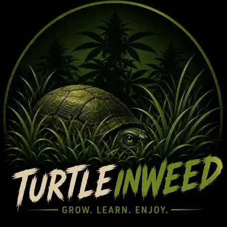 TurtleInWeed