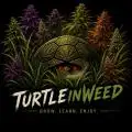 TurtleInWeed