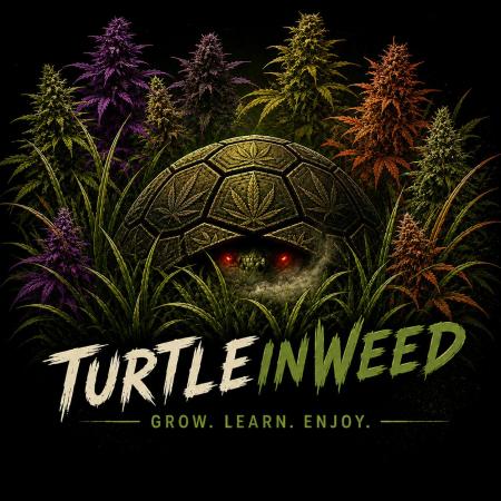TurtleInWeed