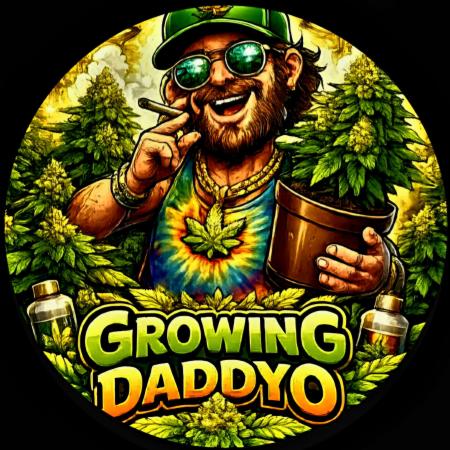 Growingdaddyo