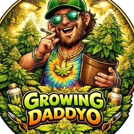 Growingdaddyo