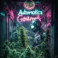Automatics_Gourmets
