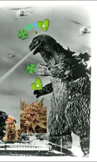 KurtHighgrade