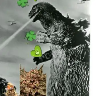 KurtHighgrade
