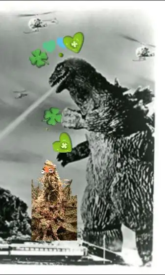 KurtHighgrade