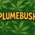 PLUMEBUSH