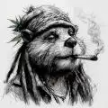 BobrMarley