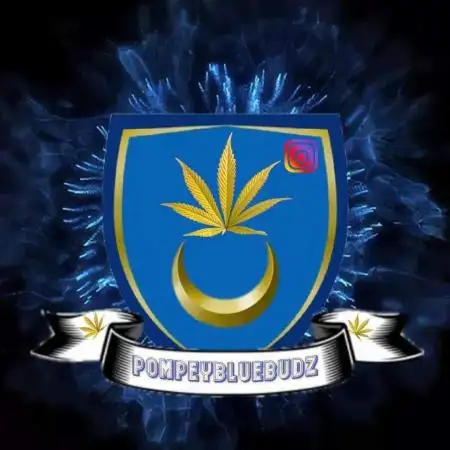 Pompeyblue