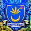 Pompeyblue