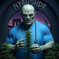 NyBushDr