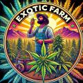 Exoticfarm99