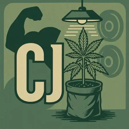 Gingobeaz