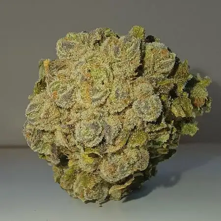 Jipke420