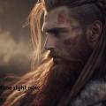 VikingFloh420