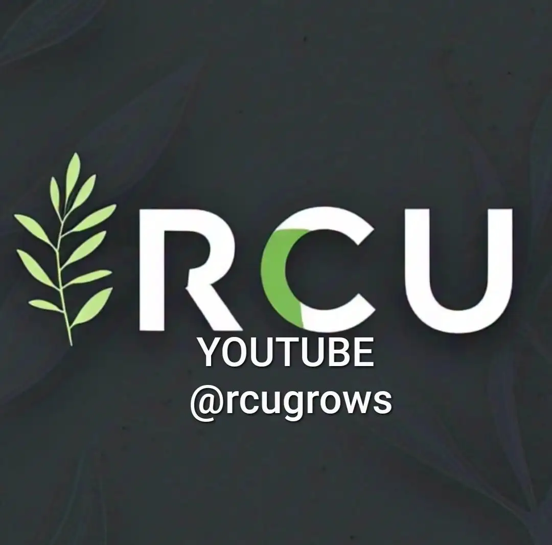RCUgrows