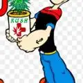 plantswithdeezy