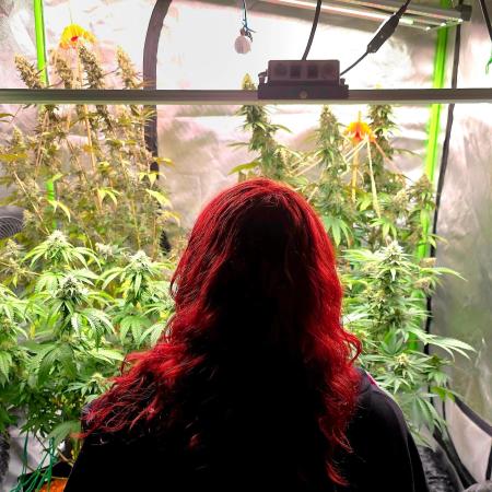 all_about_420