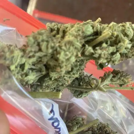 DaSpliffedDon420
