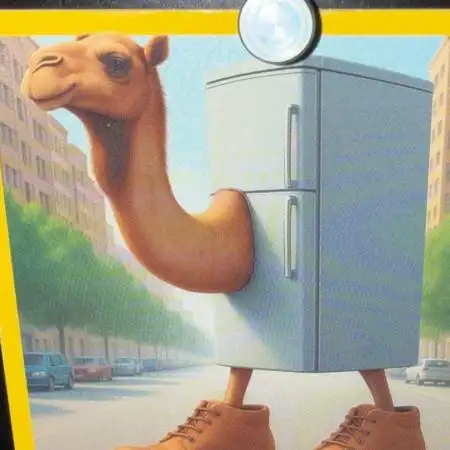 frigo_camelo