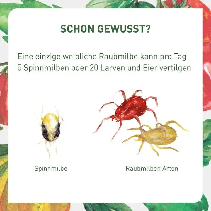 TechHack