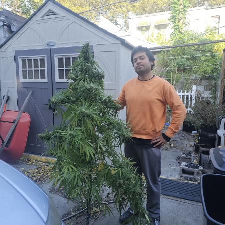 Samsationalseeds