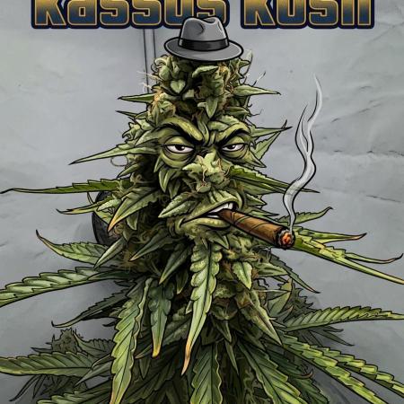 Kassus_Kush