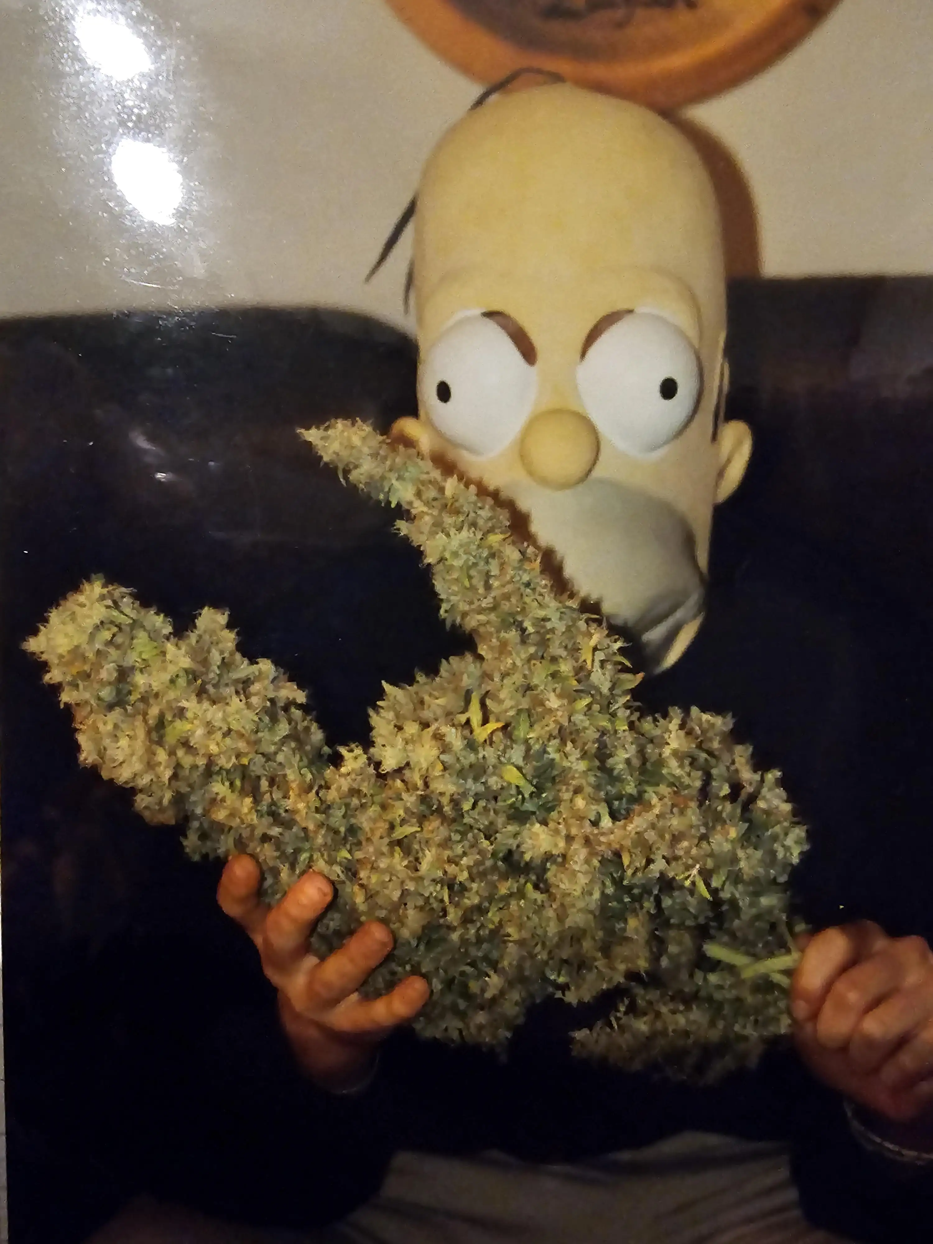 EarlBud420