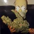 EarlBud420