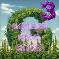 GmiadlichGanjaGrown