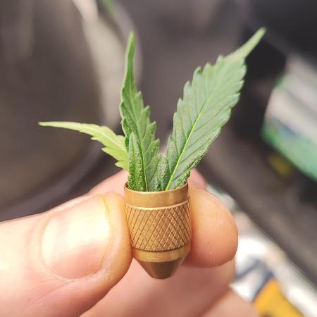 Pete_vs_Plants