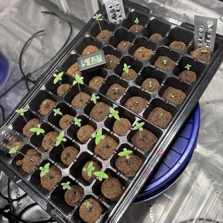 Hydro_Grower23