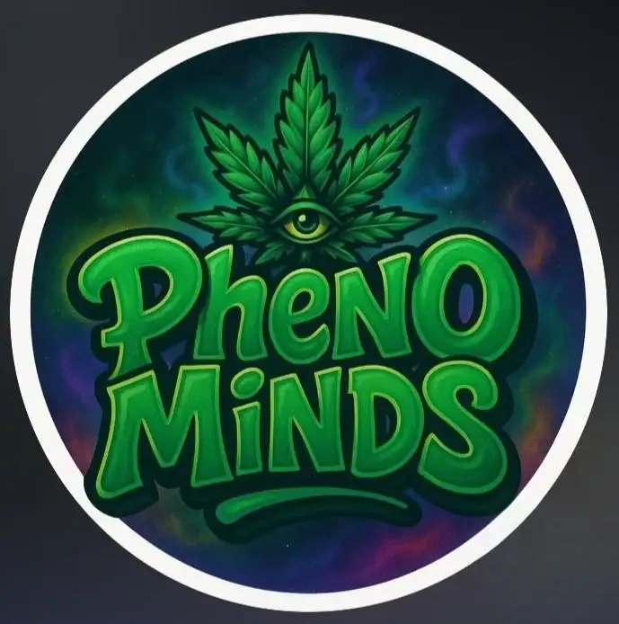 Pheno_Minds