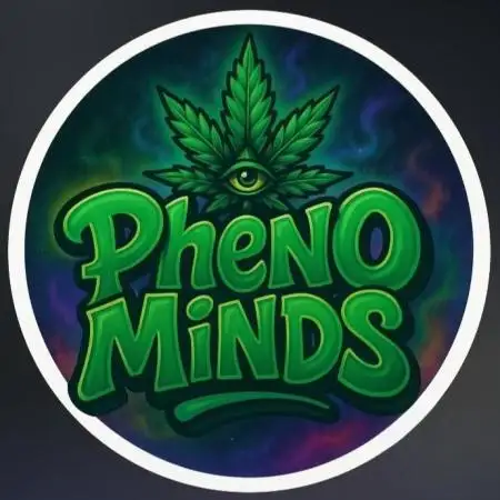 Pheno_Minds