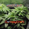 lfg_CanopyCraft