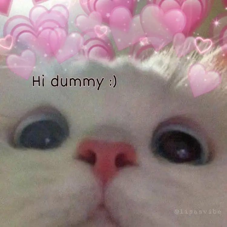 boopsnoot
