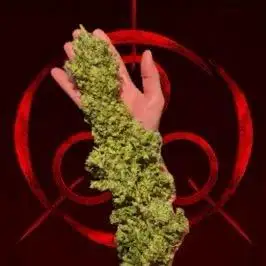 Harry_Pothead