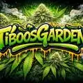 tiboosgarden