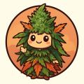 ShinWeed