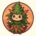ShinWeed