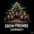 Grower_Boris