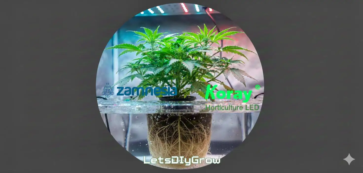 LetsDiyGrow