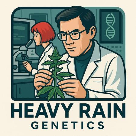 HeavyRainLab